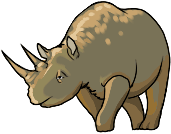 600 X 600 4 - Black Rhinoceros (600x600)