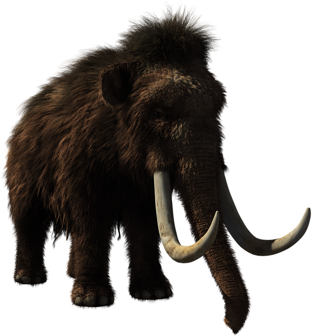 Woolly Mammoth (720x720)