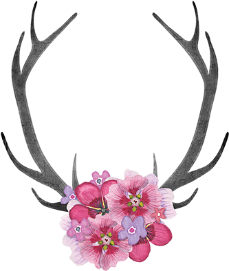 Antlers And Flowers Png - Deer Head Growing Flowers From Horns (400x400)