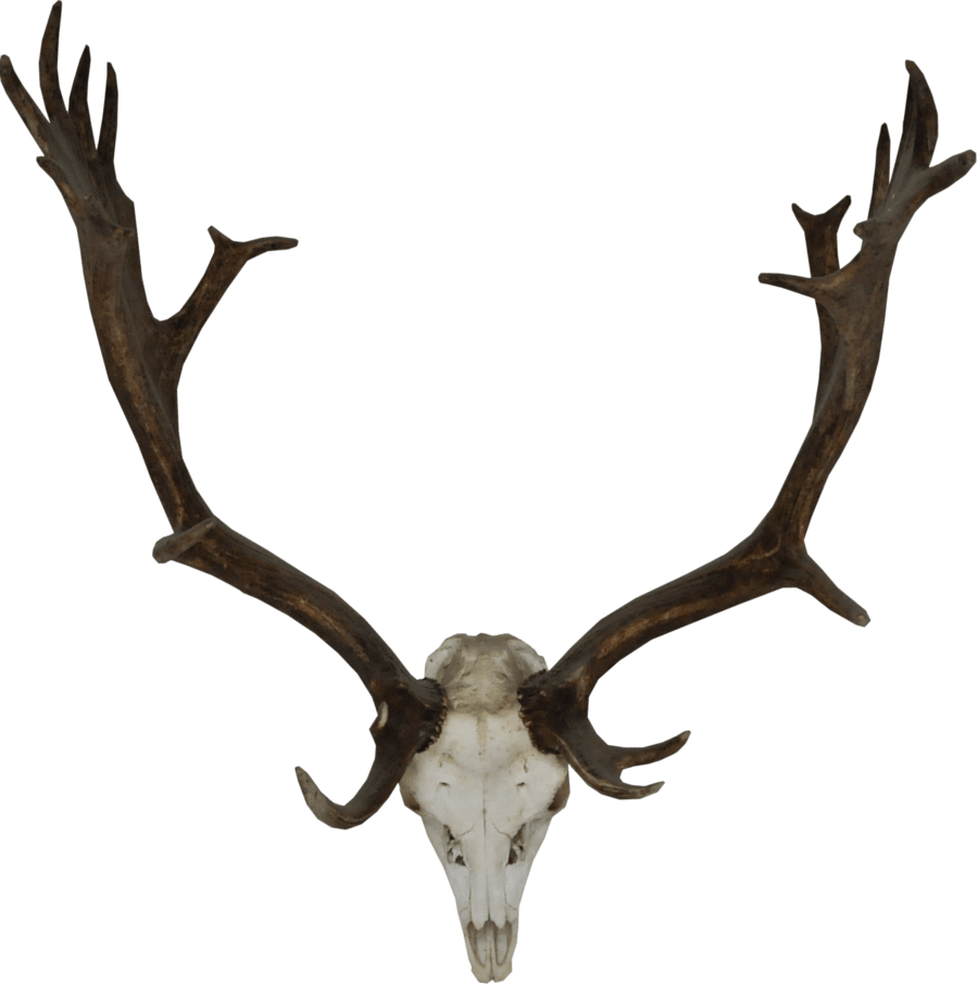 Reindeer Horns Transparent Png (900x907)