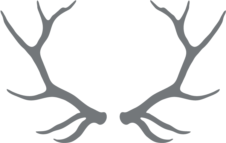 Drawn Antler Tangled - Transparent Antlers Png (1039x697)