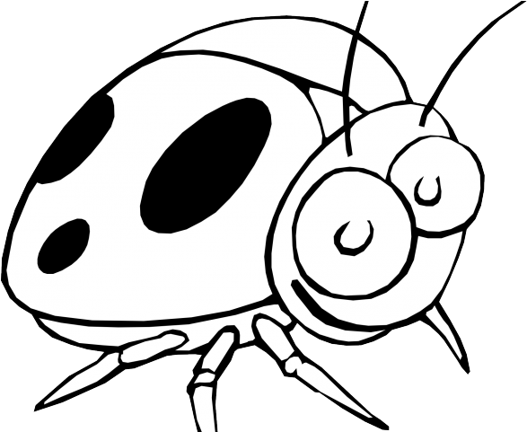 Antler Clipart Flower Drawing - Clipart Black And White Bug Flowers (640x480)