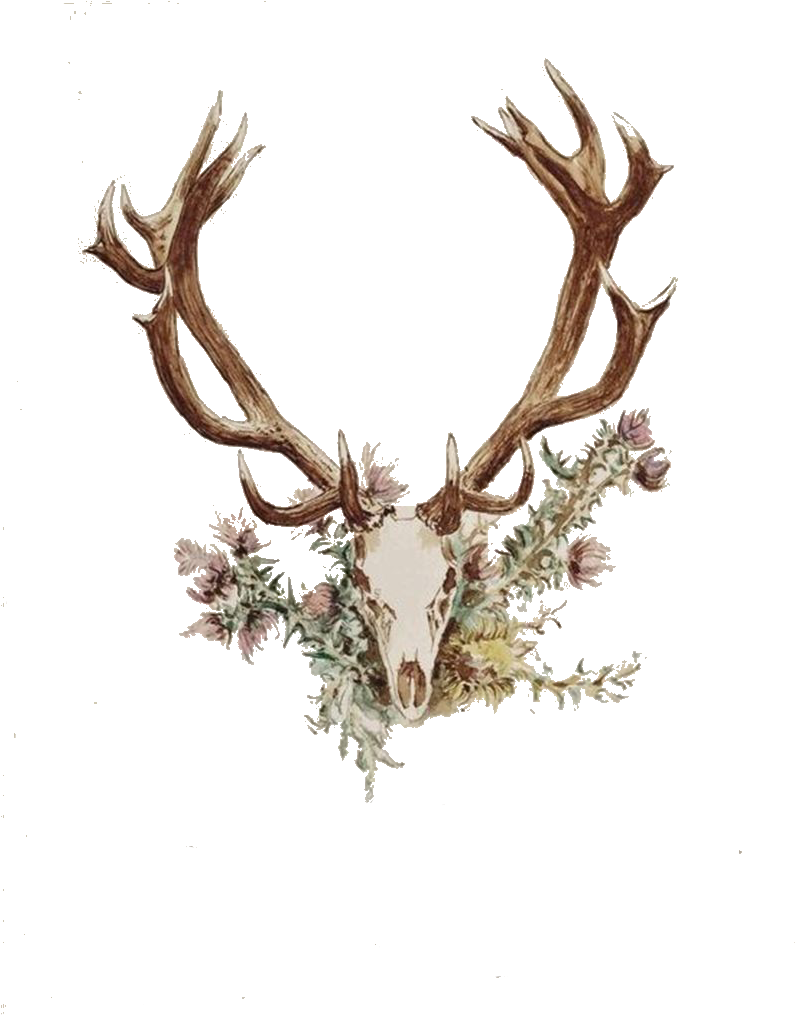 Antler Flower Horn Tattoo Wooden Angle - Deer Skull With Flowers Png (800x1028)
