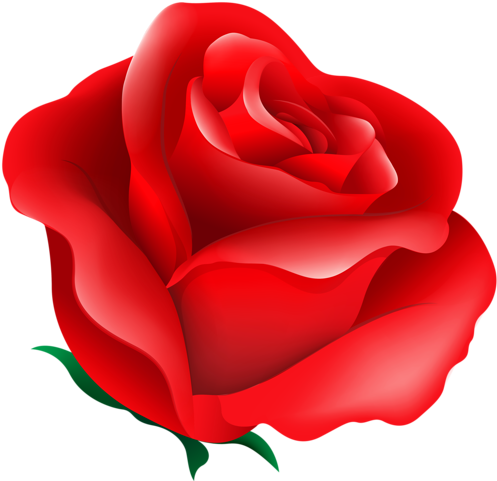 Christine Staniforth ♛༻ Red Roses, Flower Art, Paper - Rose Heart R (500x490)