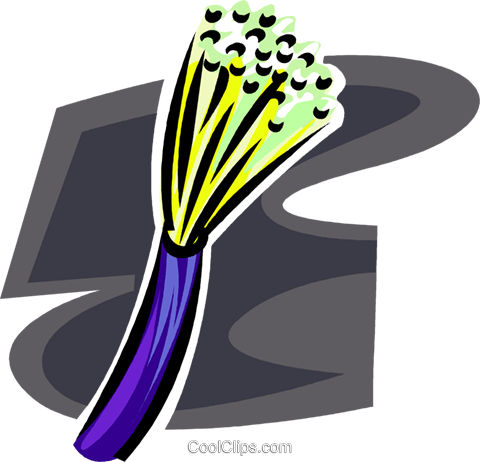 Fiber Optic Cable Royalty Free Vector Clip Art - Fibra Ottica Cartoon (480x462)