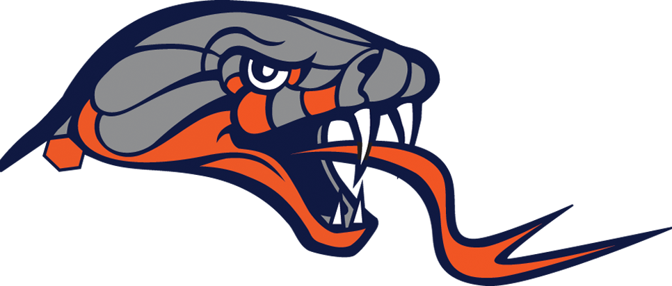 Dallas Rattlers Logo (966x412)