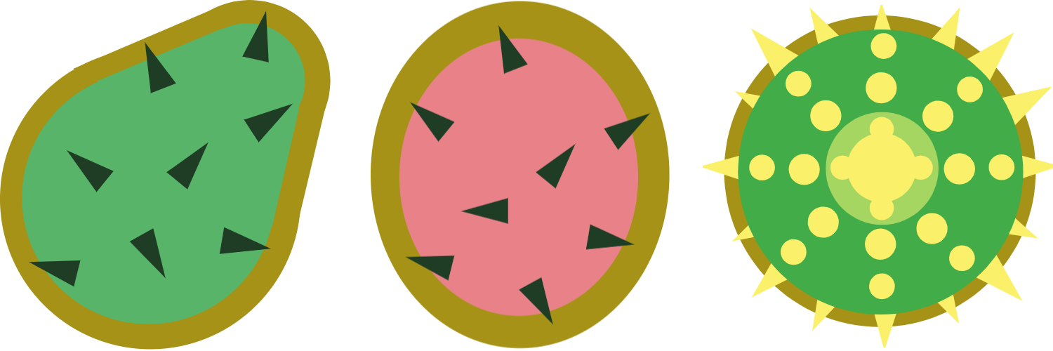 Cactus Pads - Circle (1500x500)