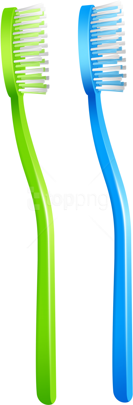 Free Png Download Green Blue Toothbrush Clipart Png - Blue And Green Toothbrush (480x1360)