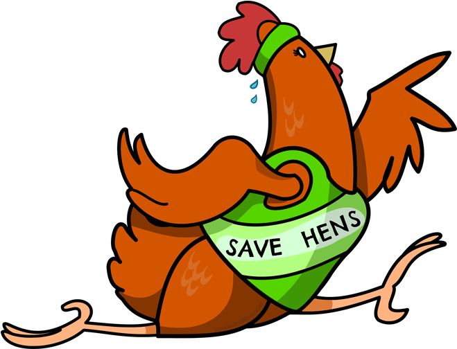 The Great Chicken Run Is Here - The Great Chicken Run Is Here (698x562)