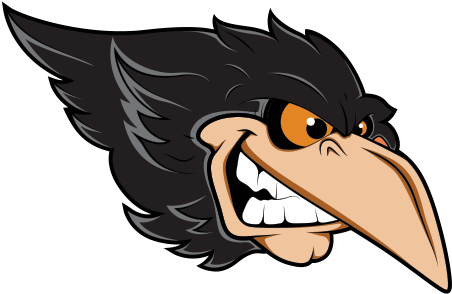 600 X 600 1 - Mean Crow Cartoon (600x600)