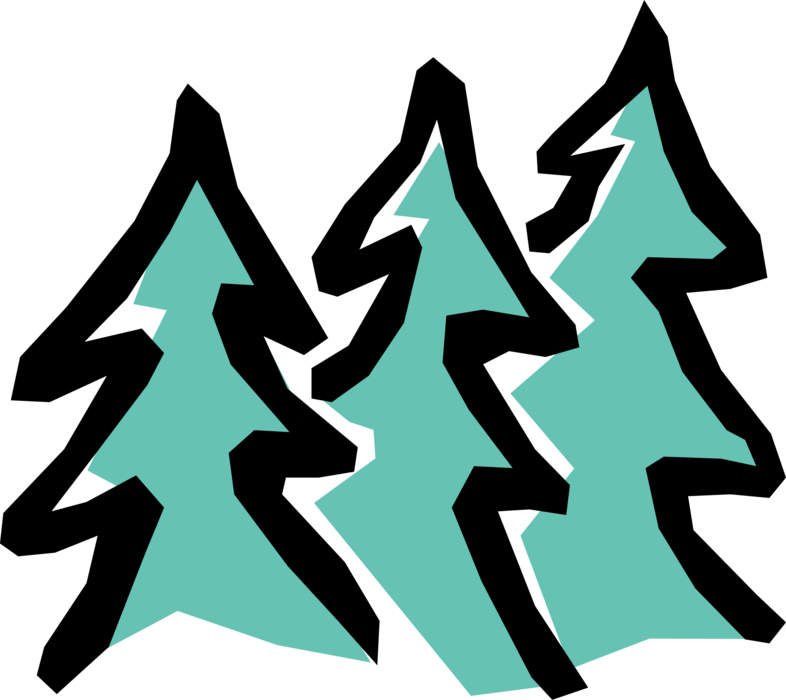 Vector Illustration Of Coniferous Evergreen Fir Trees - Vector Illustration Of Coniferous Evergreen Fir Trees (786x700)