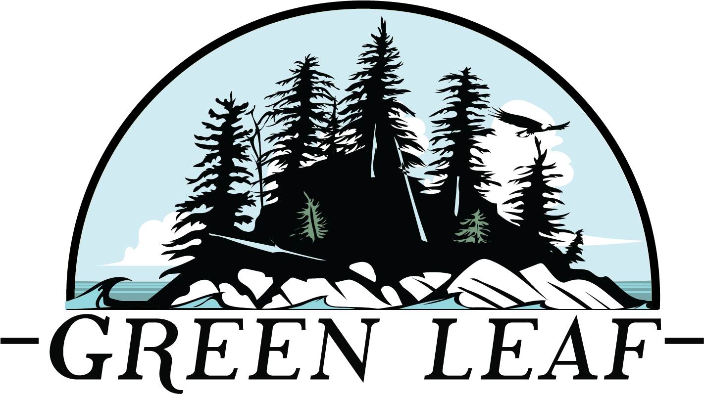 Colorado Spruce (1421x814)