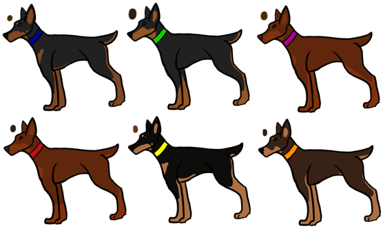 Dobermann (573x350)