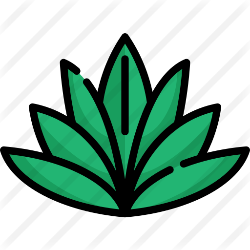 Agave Free Icon - Agave Free Icon (512x512)
