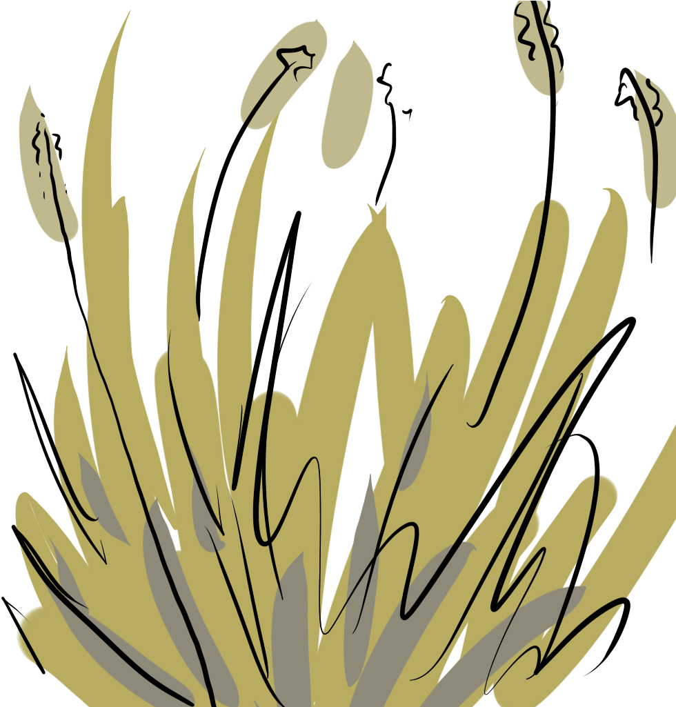 I Applied The Texture To A Flat Square Plane On Maya - I Applied The Texture To A Flat Square Plane On Maya (1024x1024)