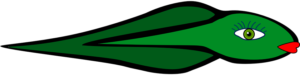 Tadpole Clipart Polliwog - Kecebong Kartun (960x480)