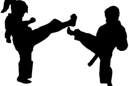 Download Wallpaper Full Wallpapers The World Widest - Self Defence Kids (450x300)