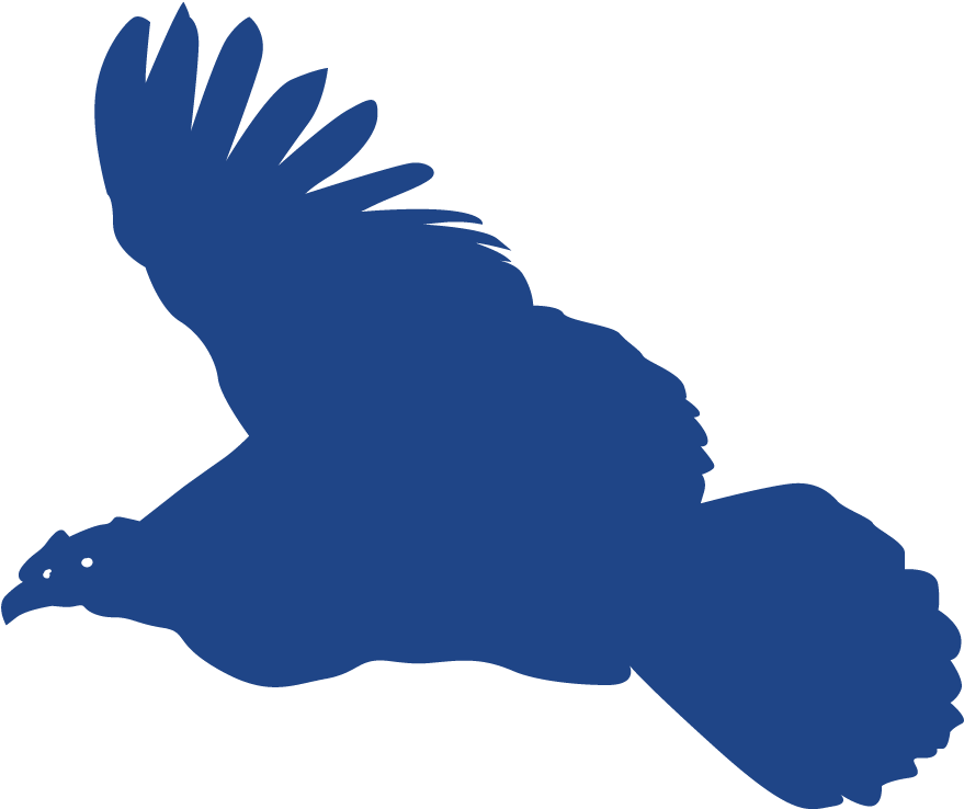 Andean Condor Gold Sponsor - Red Shouldered Hawk (1200x1200)