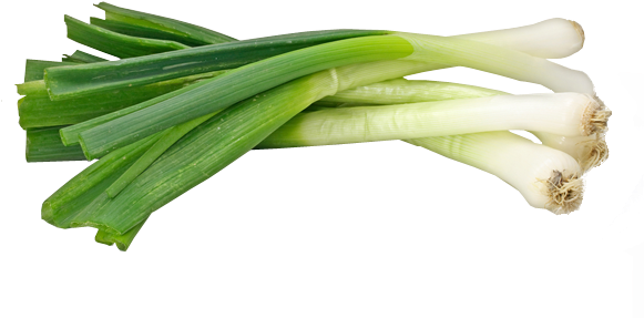 600 X 600 3 - Spring Onion Transparent Background (600x600)
