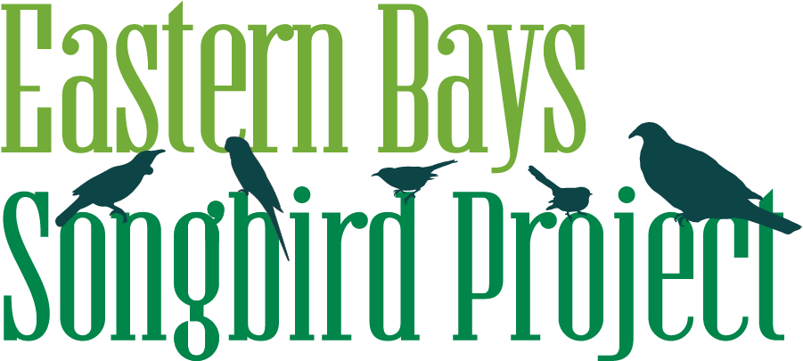 Everyone Agrees That Communication Needs To Be Better - Everyone Agrees That Communication Needs To Be Better (915x412)