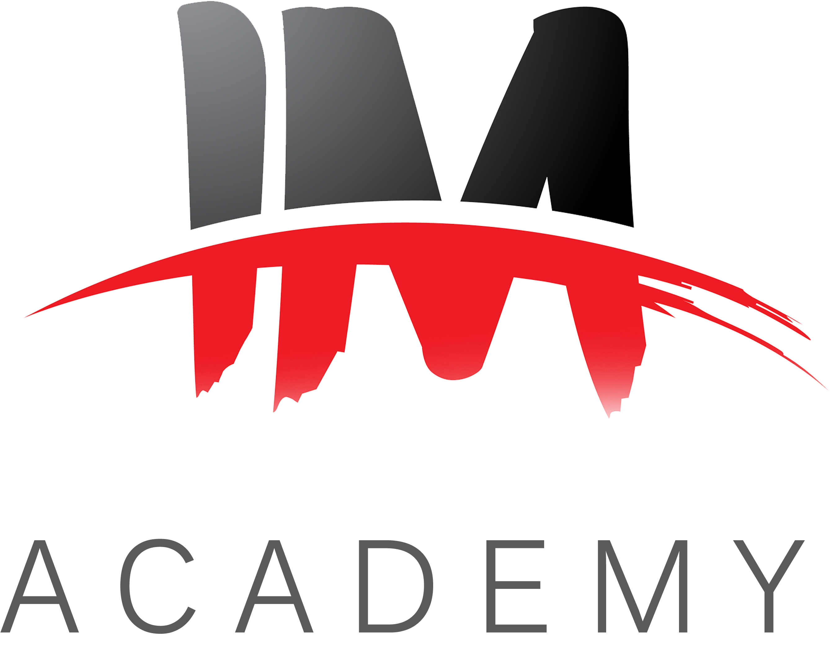 Im. Im Academy. Mastery Academy. Im.Master лого. Академия арт логотип.