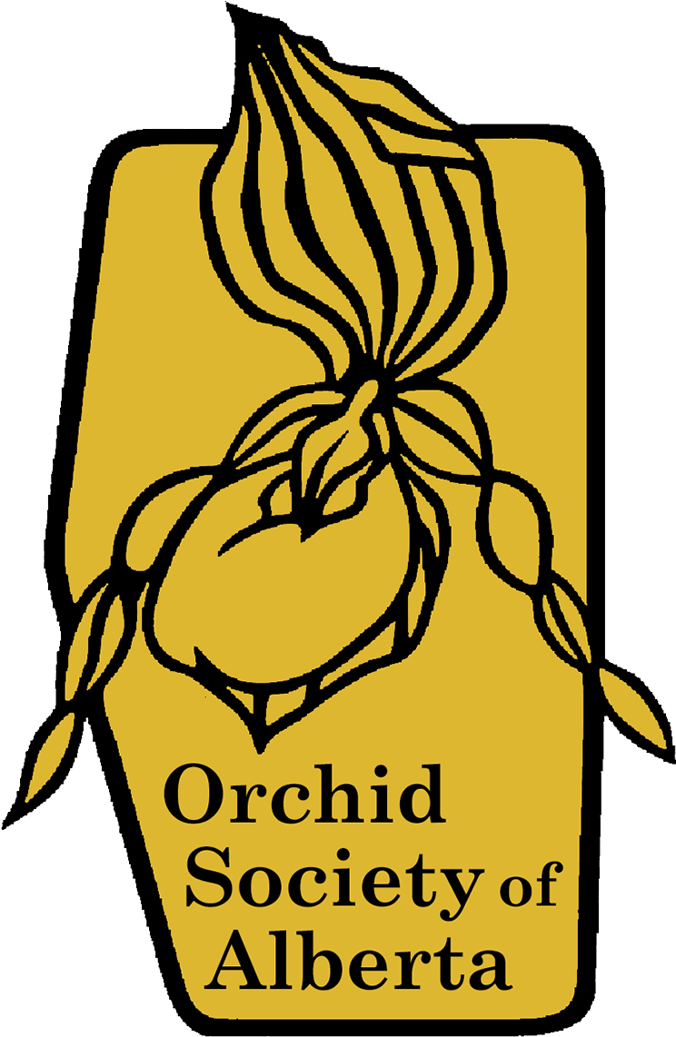 Bath Building Society (1315x1248)