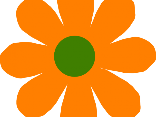 Orange Flower Clipart White Background - Flowers Free Clip Art (640x480)
