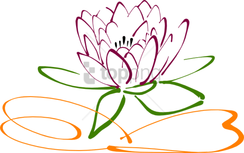 Free Png Download Lotus Flower Vector Png Images Background - Water Lily Vector Png (850x535)