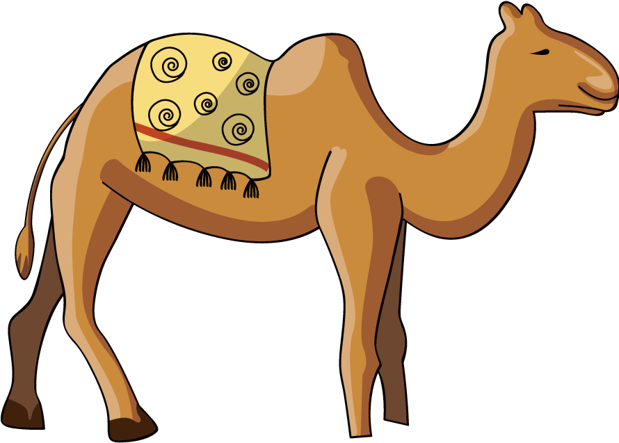 Arabian Camel (900x900)