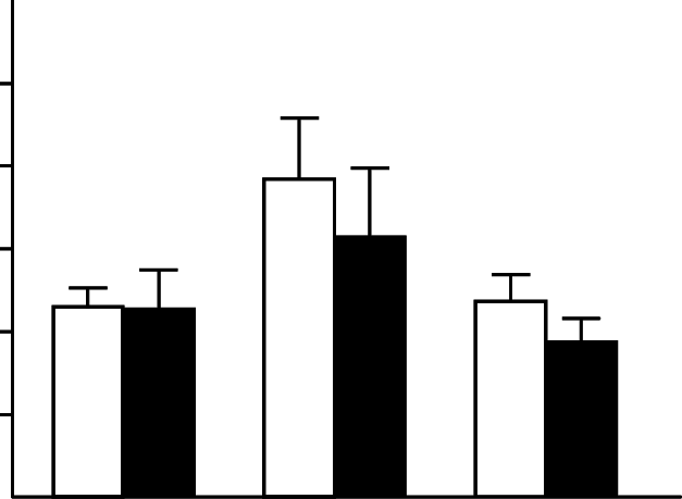 Concentration Of Circulating Testosterone In Blood - Diagram (627x459)