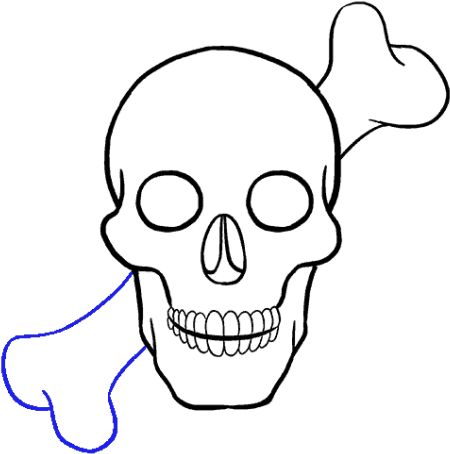 Drawn Teeth Beginner - Skull Drawings (640x480)