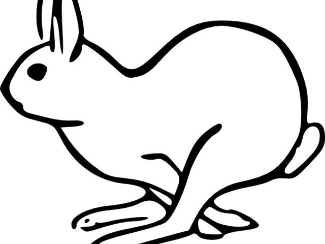 Desert Clipart Hare - Clipart Animal Black And White (640x480)