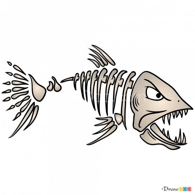 665 X 665 3 - Bony-fish (665x665)