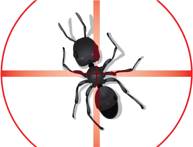 Ant Clipart Pest Control - Pest Control (640x480)