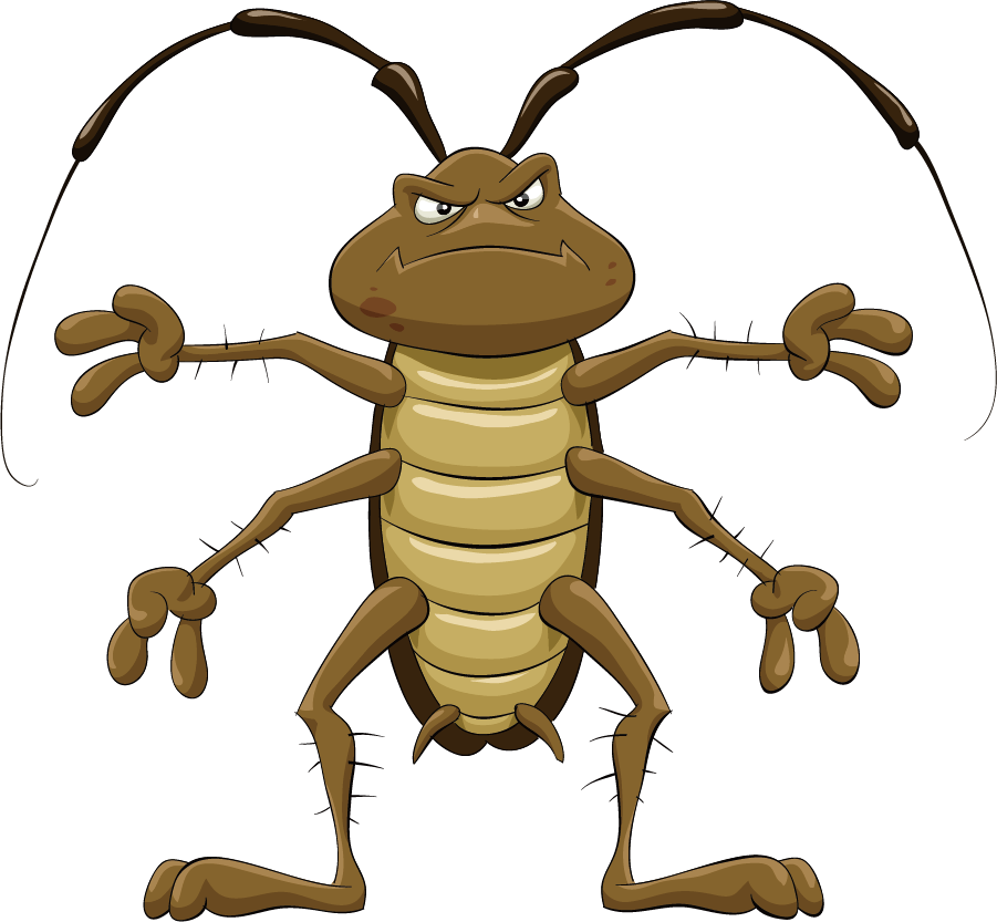 Cartoon Royalty Free Clip Art Transprent Royaltyfree - Angry Roach (901x833)