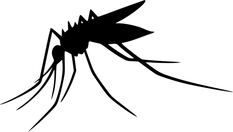 Download Free Png Dlpng - Mosquito Preto Febre Amarela (800x452)