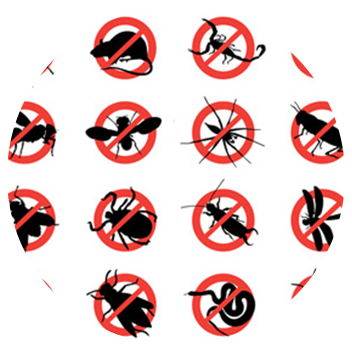 Ant Control Rotorua Ant Control Whakarewarewa - Pest Control (352x352)