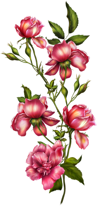 Leaf Flowers, Botanical Flowers, Botanical Art, Vintage - Alice In Wonderland Flowers Png (450x800)