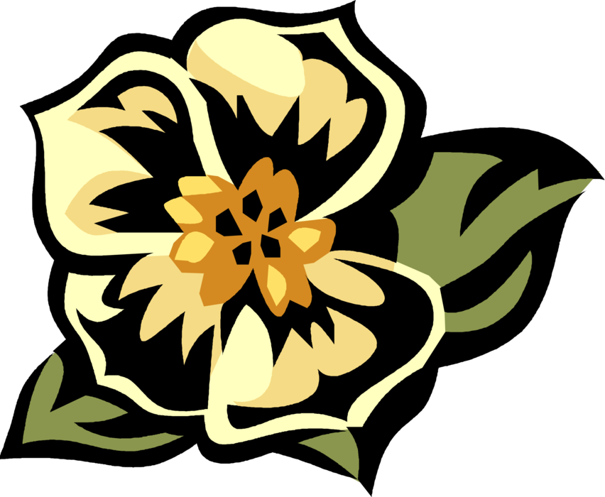 Picture Freeuse Library Morning Glory Flowering Image - Picture Freeuse Library Morning Glory Flowering Image (852x700)