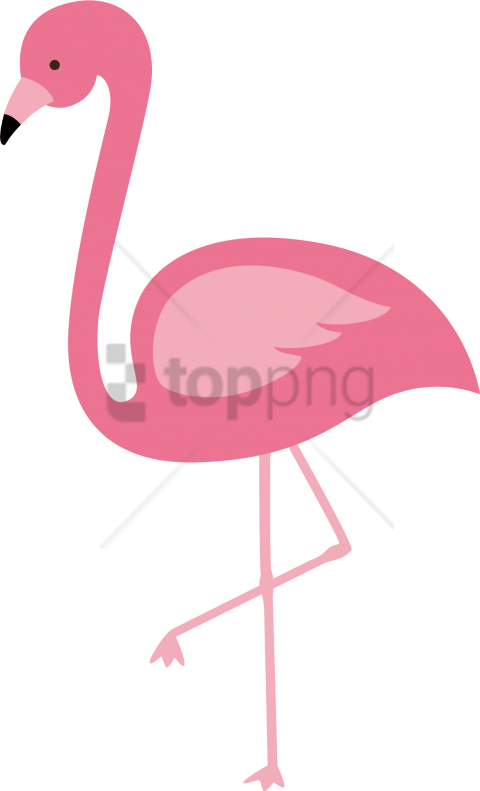Free Png Flamingo Png Image With Transparent Background - Flamingo Vector Png (480x791)