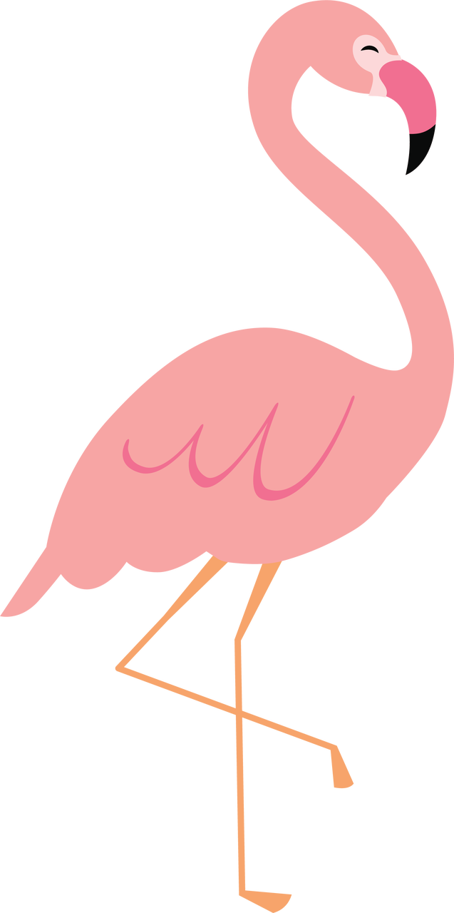 637 X 1280 3 - Greater Flamingo (637x1280)