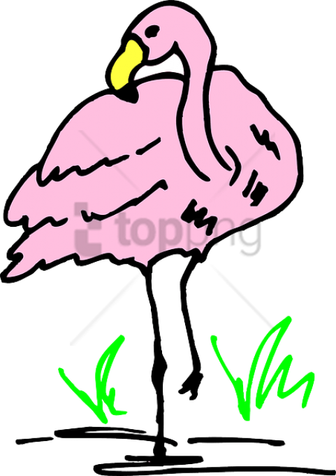 Free Png Download Flamingo Cartoon Png Images Background - Hewan Cartoon Png (481x680)