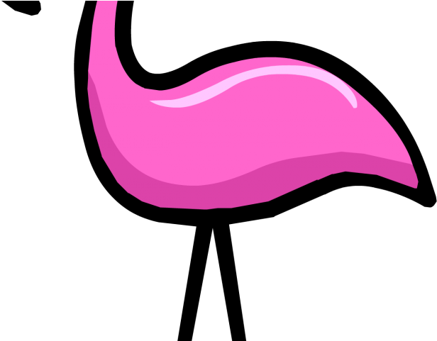 Flamingo Clipart Swimming - Portable Network Graphics (640x480)