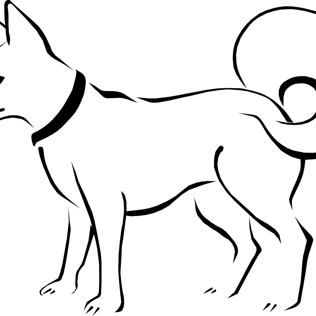 Draw Domestic Animals Easy (1024x1024)