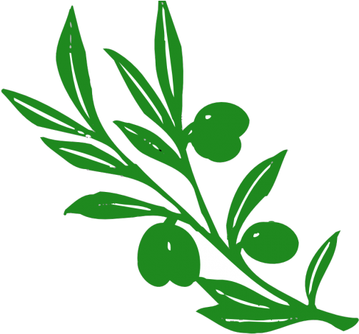 Leaf Clipart Olive Tree - Olive Tree Branch (640x480)