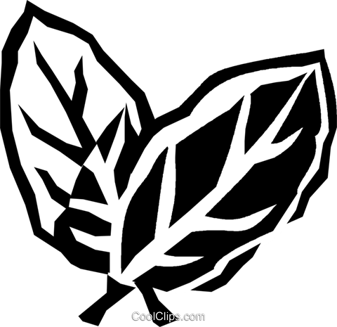 Bay Leaves Royalty Free Vector Clip Art Illustration - Simpatias De São João (480x465)