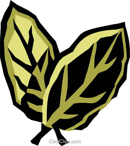Bay Leaves Royalty Free Vector Clip Art Illustration - Simpatias De São João (426x480)