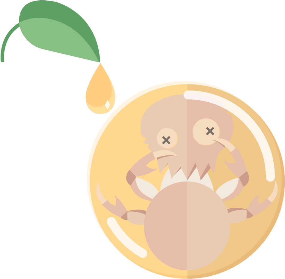 Lice-nil Oil Effective On Lice Eggs - Illustration (960x960)