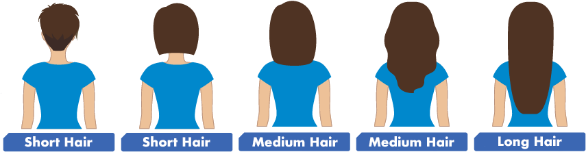 Lice Removal Hair Length Chart - Hair Length Short To Long Chart (860x240)
