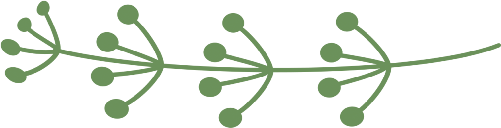 Grab This Awesome Set Of Vines And Frames Clip Art - Graphic Design (1024x266)